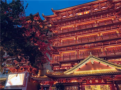 深圳洋马购买建议_1